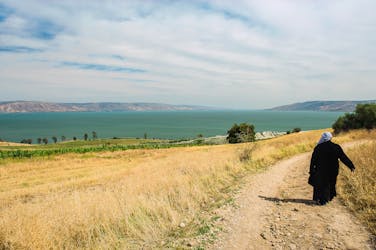 Tour di un’intera giornata del Mar di Galilea, Cana, Magdala e Monte delle Beatitudini da Tel Aviv